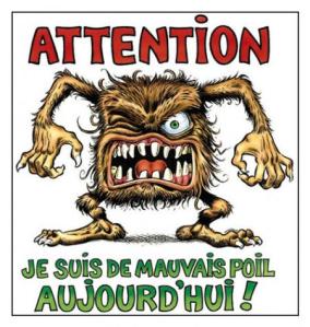 raleur-vip-blog-com-911739mauvai10