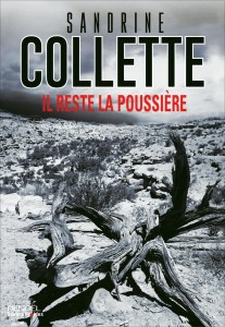 il-reste-la-poussiere